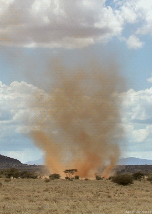 There's Real Life Magic On Earth, Just Look Around (22 gifs)