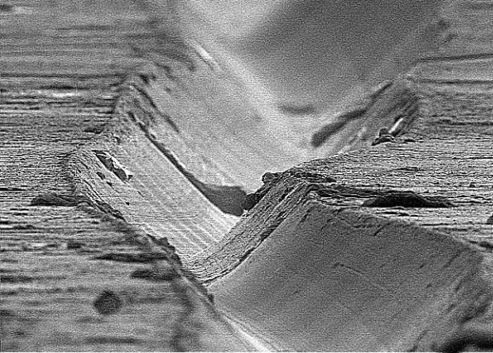 Random Things Through An Electron Microscope (21 pics)