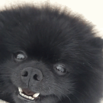 Acid Gifdump, June 10, 2014 (25 gifs)
