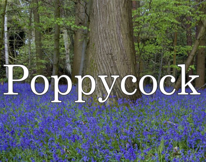 The Most British Sounding Words You Can Ever Say (22 pics)
