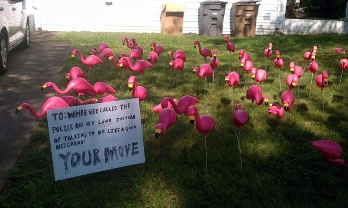 The Passive Aggressive Approach To Parking (20 pics)