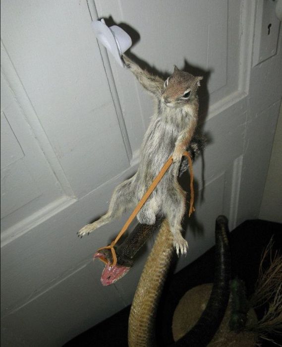 Acid Picdump (104 pics)