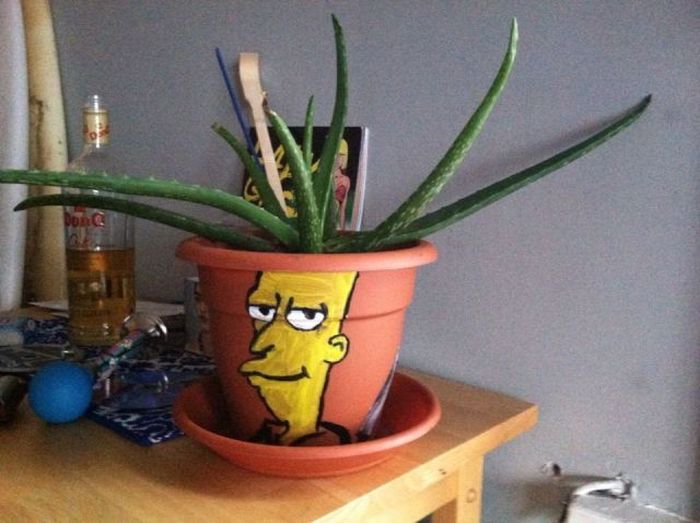 Acid Picdump (104 pics)