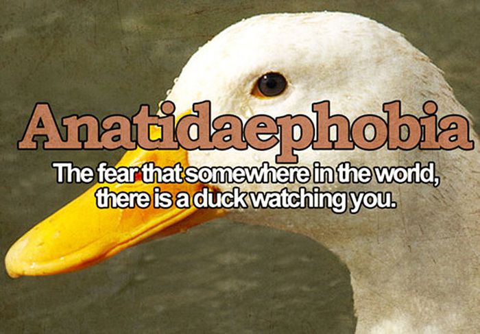 Acid Picdump (104 pics)