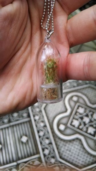 Acid Picdump (104 pics)