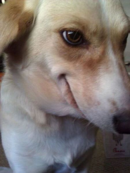 Acid Picdump (104 pics)