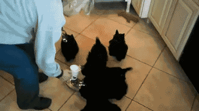 Did It Ever Happen to You When... Part 93 (16 gifs)