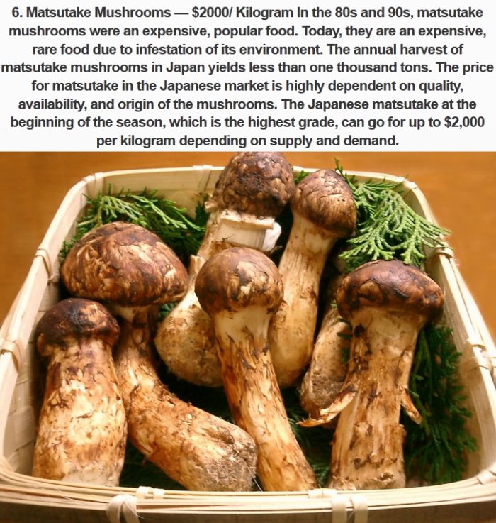 The Most Expensive Foods You Can Buy In Japan (10 pics)