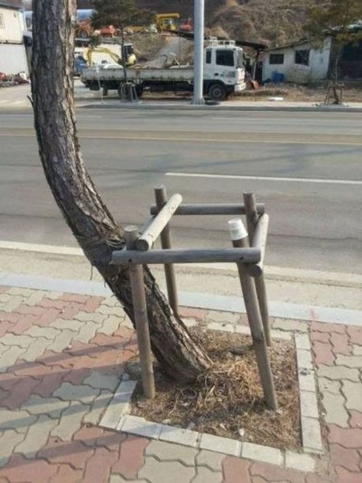 Is It Supposed To Look Like That? (34 pics)