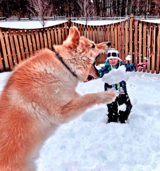 Acid Picdump (148 pics)