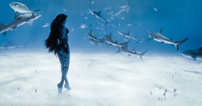 Amazing Underwater Photoshoot With A Shark (13 pics)