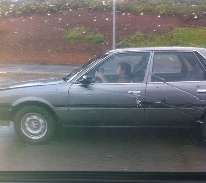 The Strangest Things You Will See On The Road (71 pics)