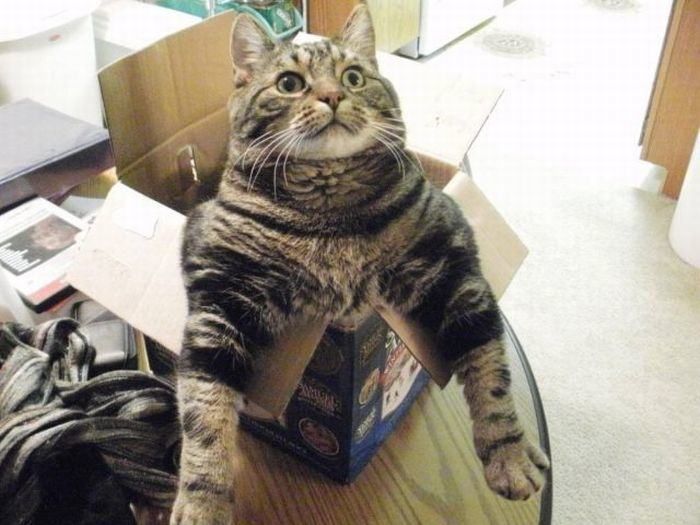 Acid Picdump (105 pics)