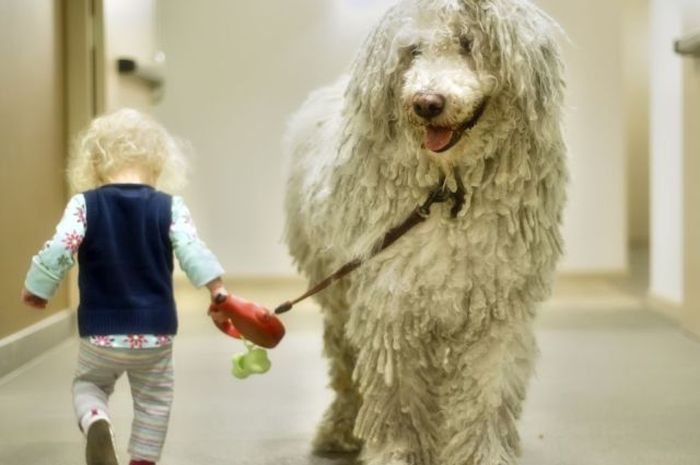 Acid Picdump (105 pics)