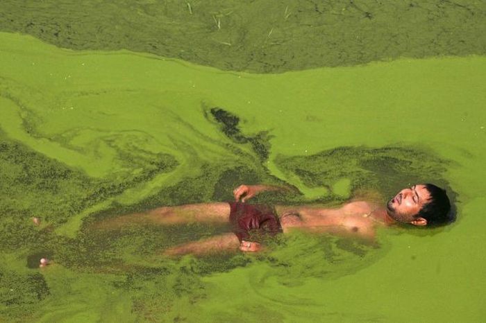 Acid Picdump (105 pics)