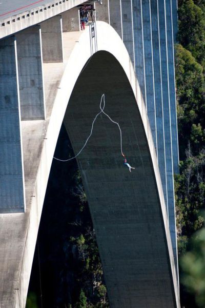 Acid Picdump (105 pics)