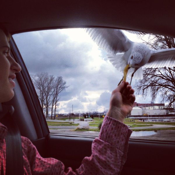 Acid Picdump (105 pics)
