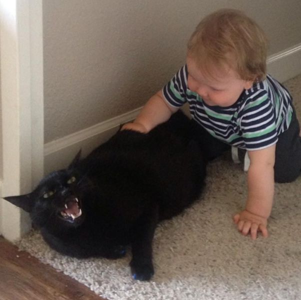Acid Picdump (105 pics)