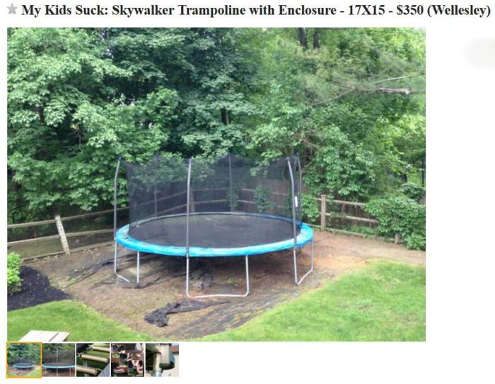 This Is Why We're Selling The Trampoline (6 pics)