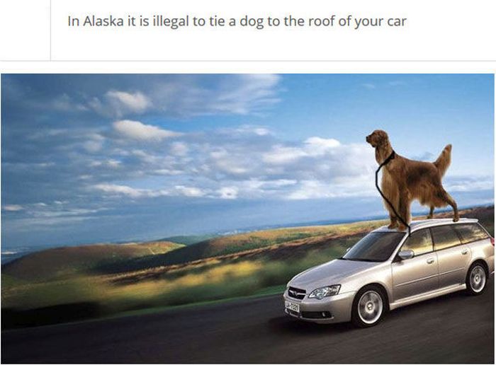The Stupidest Driving Laws You Never Knew Existed (25 pics)