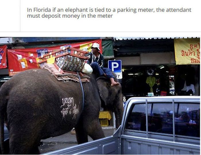 The Stupidest Driving Laws You Never Knew Existed (25 pics)