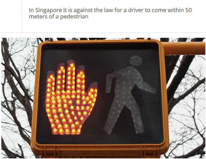 The Stupidest Driving Laws You Never Knew Existed (25 pics)