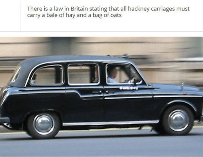 The Stupidest Driving Laws You Never Knew Existed (25 pics)