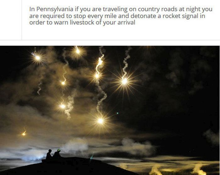 The Stupidest Driving Laws You Never Knew Existed (25 pics)