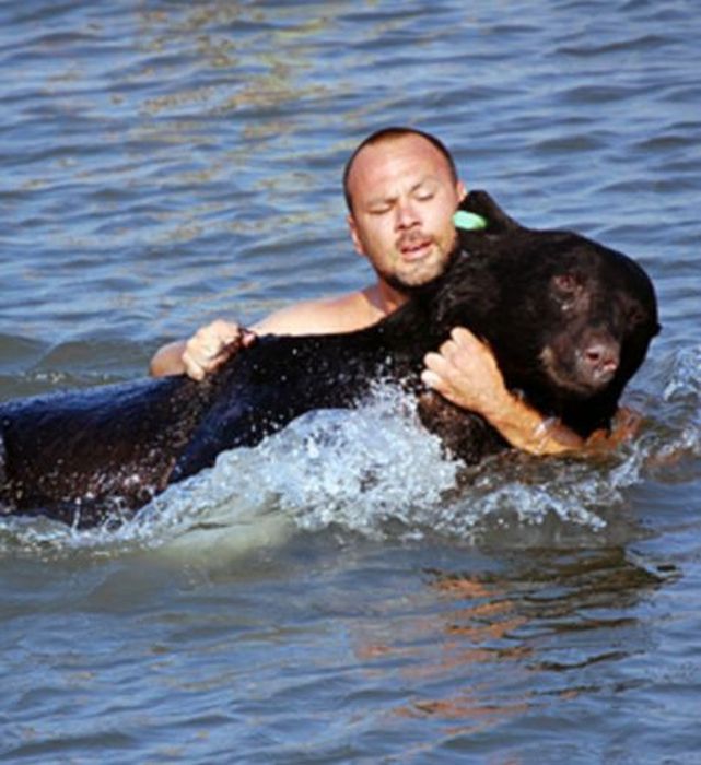 Man Saves One Of The Most Dangerous Animals (16 pics)