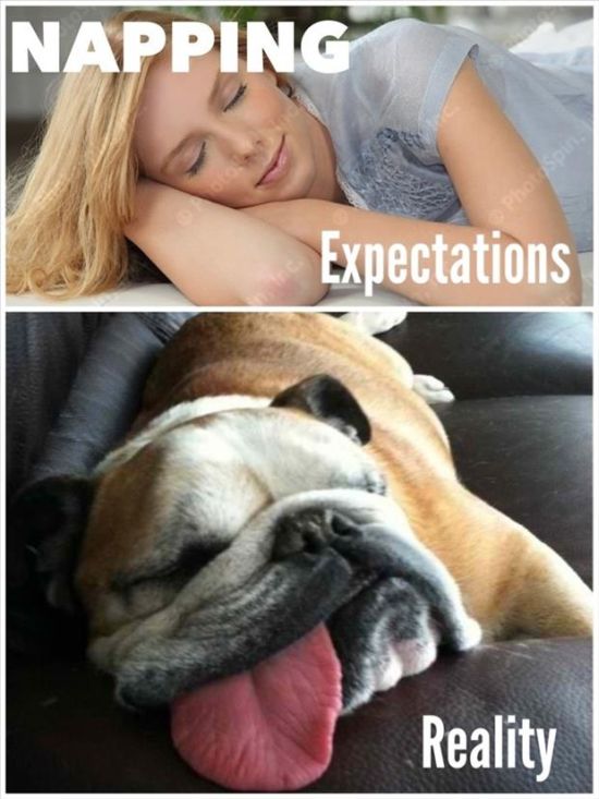 The Best Of Expectations Vs Reality (23 pics)