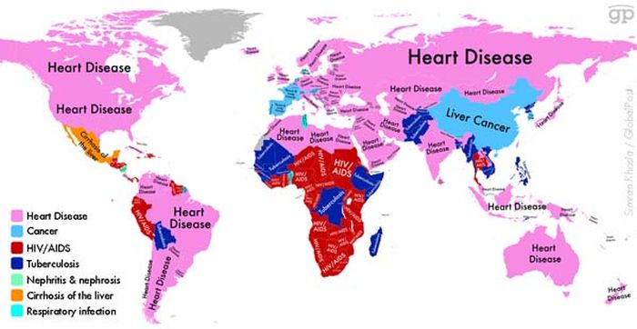 The Most Common Causes Of Death Around The World (6 pics)