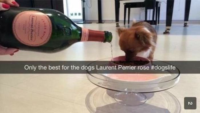 This Is How Rich Kids Use Snapchat (61 pics)