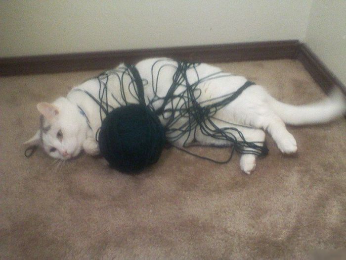 Acid Picdump (100 pics)