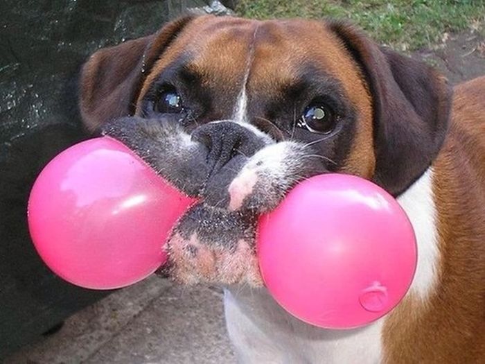 Acid Picdump (100 pics)