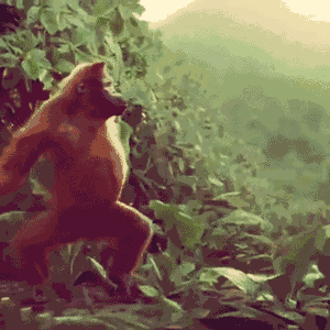 Did It Ever Happen to You When... Part 94 (16 gifs)