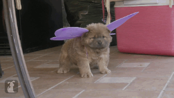 Did It Ever Happen to You When... Part 94 (16 gifs)