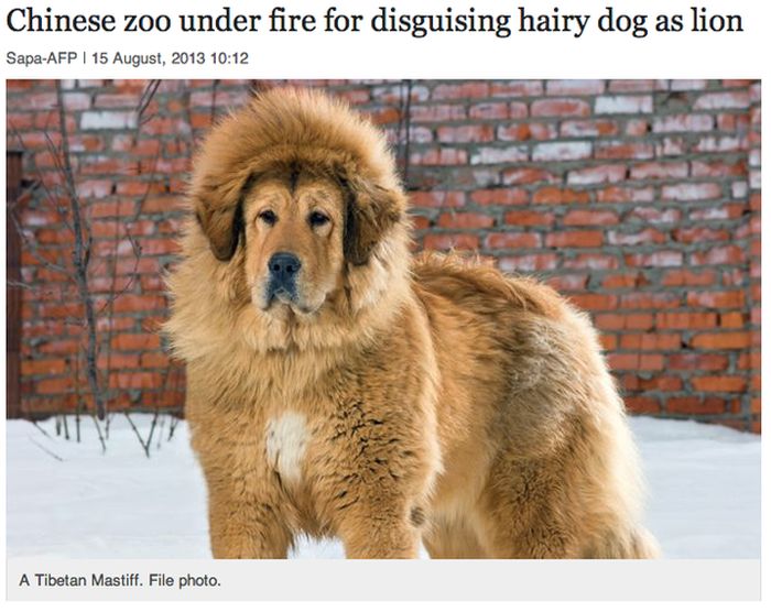 You Can't Make This Stuff Up (21 pics)
