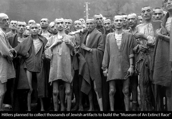 15 Things You Never Wanted To Know About Hitler (20 pics)