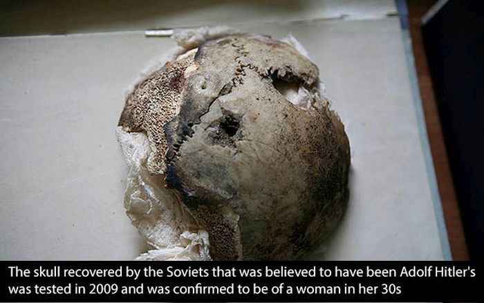 15 Things You Never Wanted To Know About Hitler (20 pics)