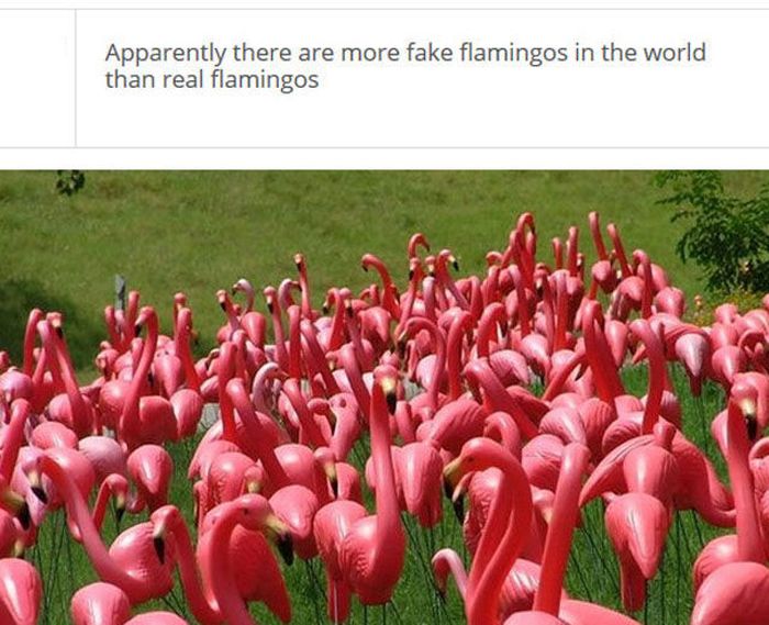 Yes, These Facts Are All True (25 pics)