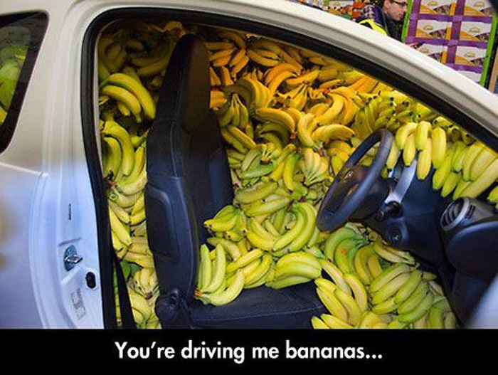 It's Hard Not To Laugh At These Puns (42 pics)