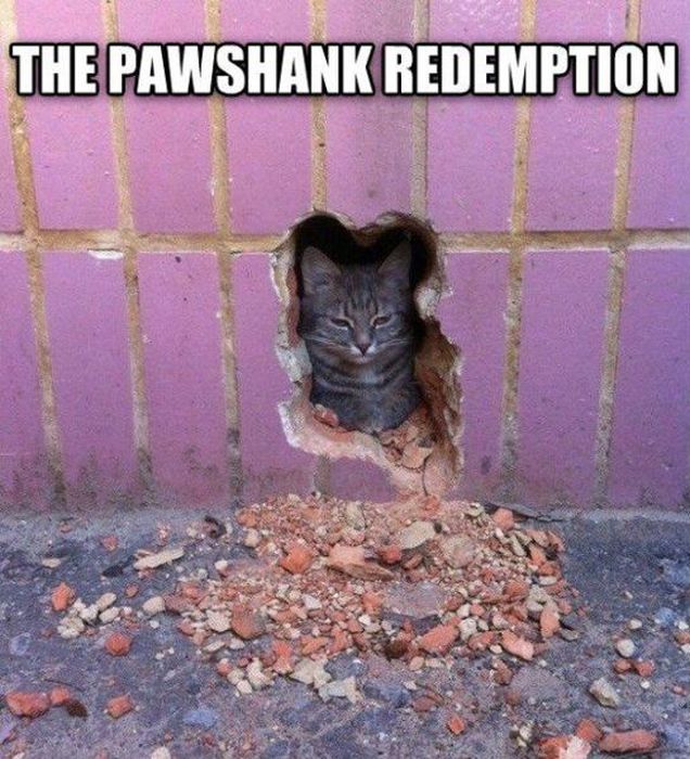 It's Hard Not To Laugh At These Puns (42 pics)