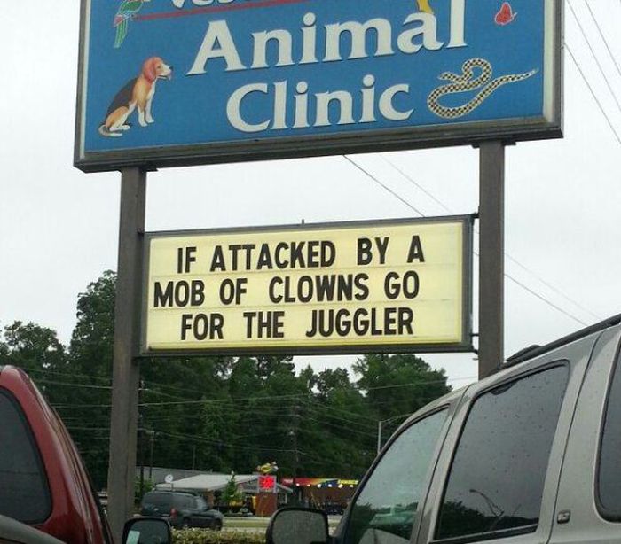 It's Hard Not To Laugh At These Puns (42 pics)