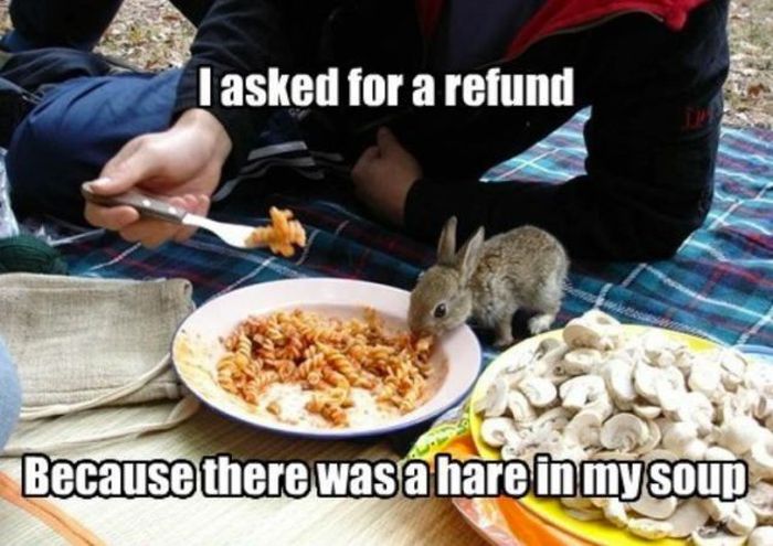It's Hard Not To Laugh At These Puns (42 pics)