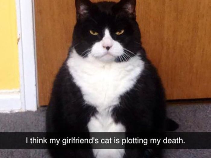 The Most Epic Snapchats Ever (25 pics)