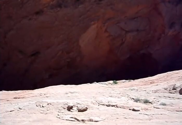 Puppy Gets Rescued From A Canyon (10 pics)
