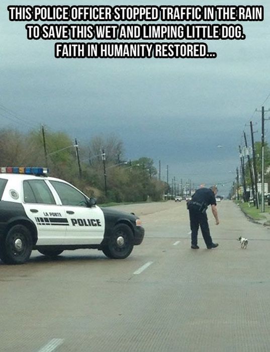 Proof That Animals And Humans Need Each Other (26 pics)