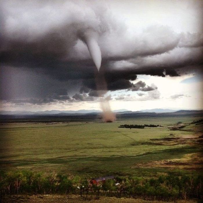 At the Right Moment. Part 35 (46 pics)