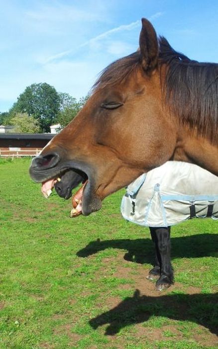 At the Right Moment. Part 35 (46 pics)
