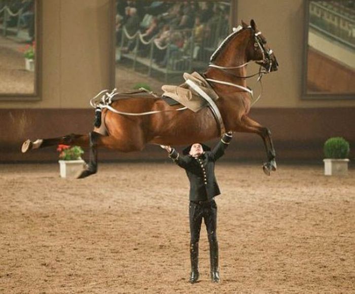 At the Right Moment. Part 35 (46 pics)